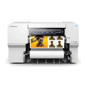 Eco-Solvent and Sublimation Printers